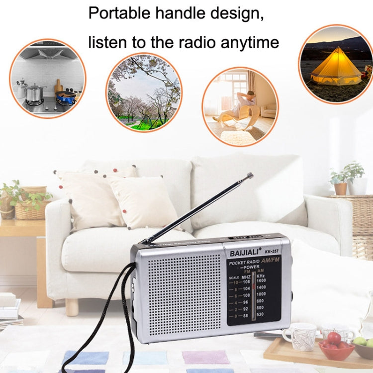 BAIJIALI BJL228 Retro Portable Two Band FM AM Radio Built-in Speaker(Black) - Radio Player by BAIJIALI | Online Shopping South Africa | PMC TechLife | Buy Now Pay Later Mobicred